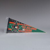 These Triangular Soft Pennant Sleev